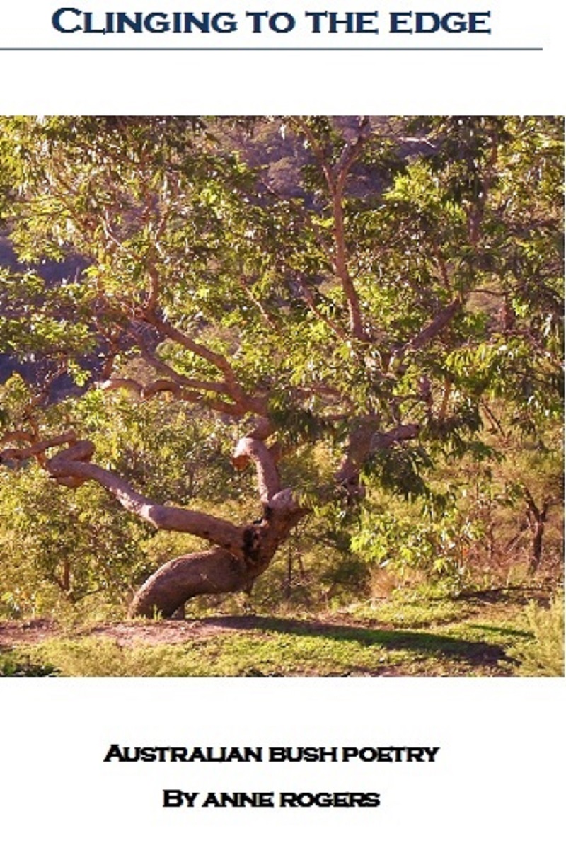Publication Image Clinging to the Edge